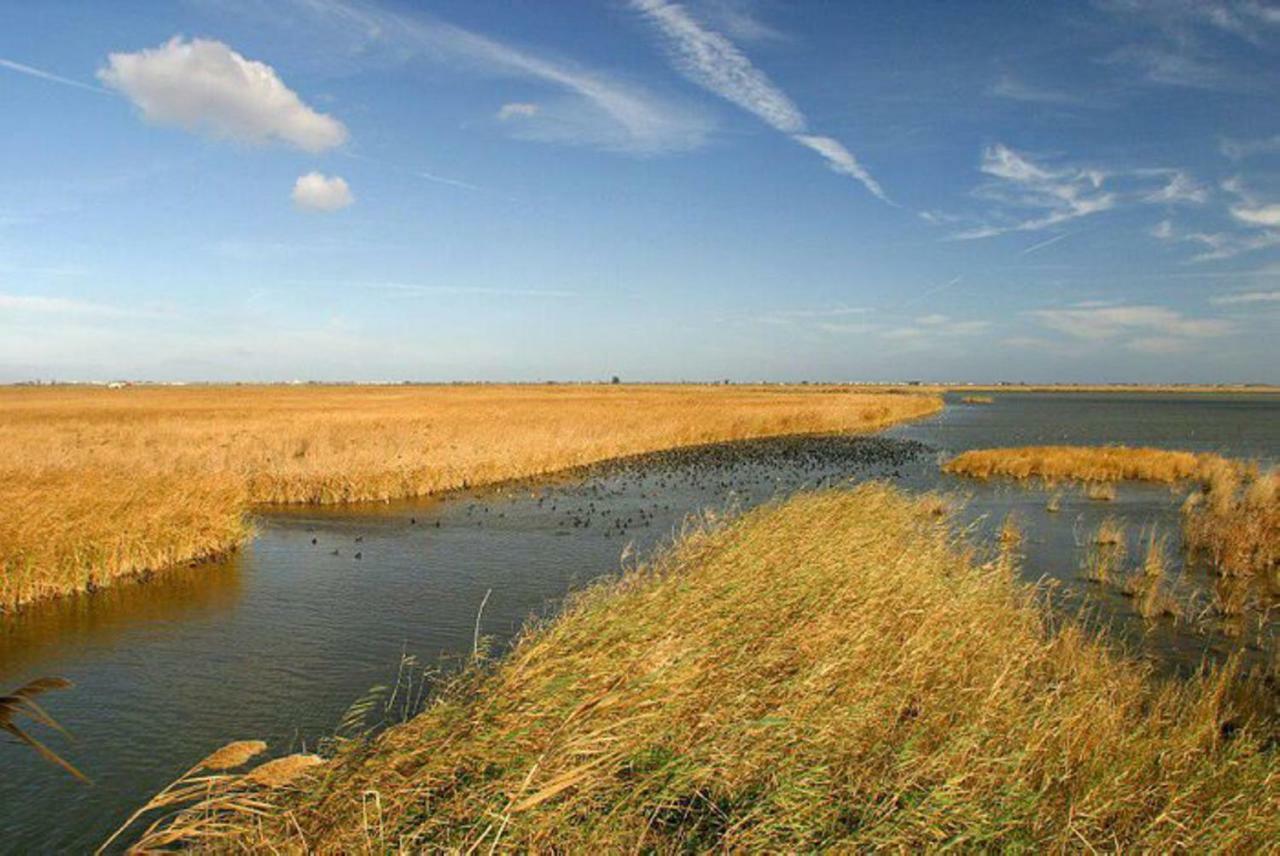 Mi Apartamento En El Delta Del Ebro+ 代尔特布雷 外观 照片