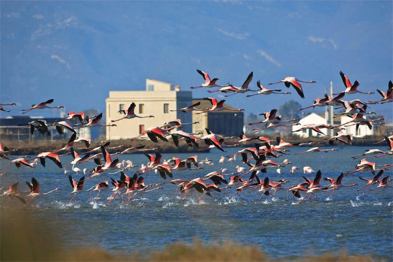 Mi Apartamento En El Delta Del Ebro+ 代尔特布雷 外观 照片