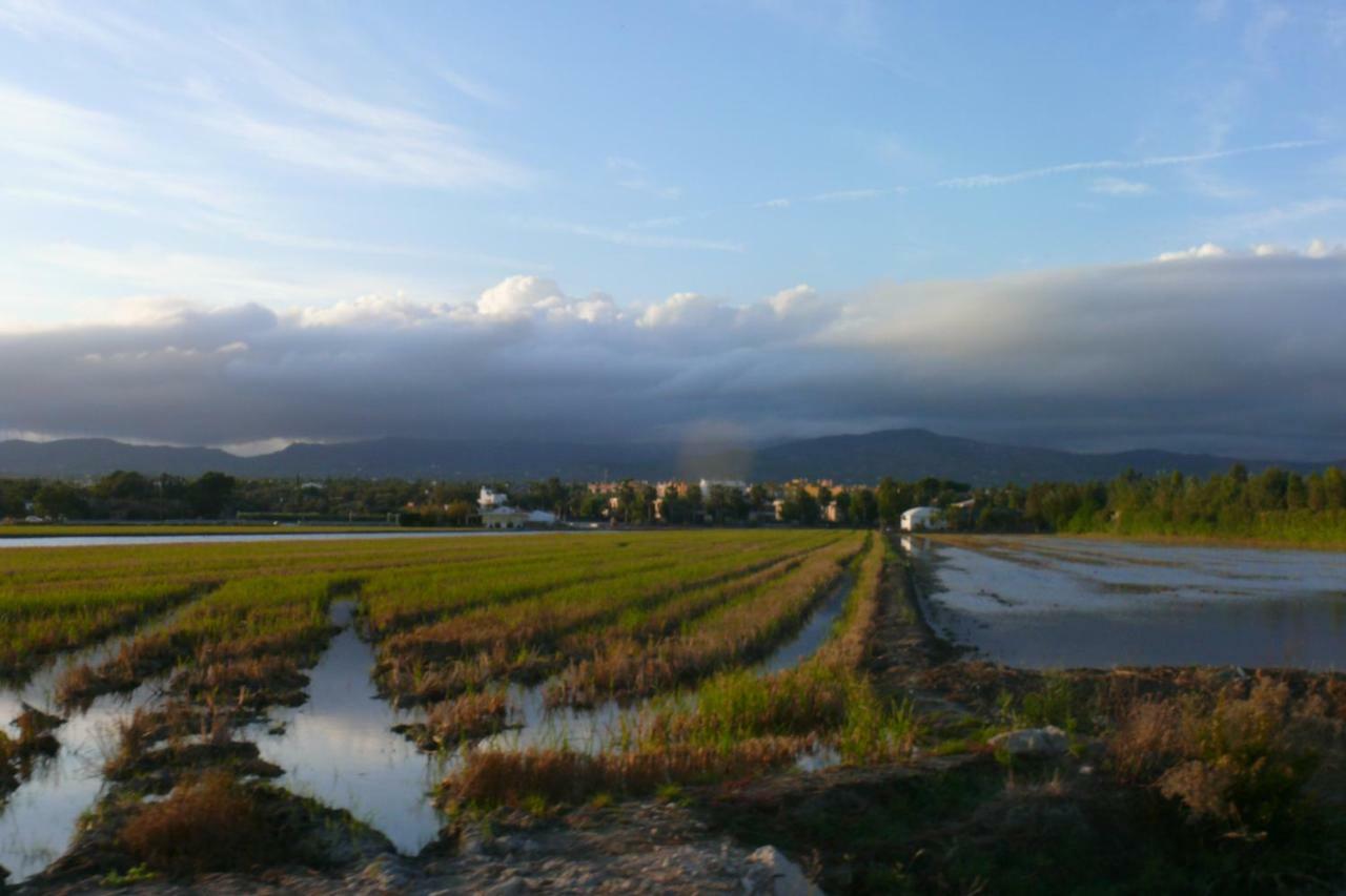Mi Apartamento En El Delta Del Ebro+ 代尔特布雷 外观 照片